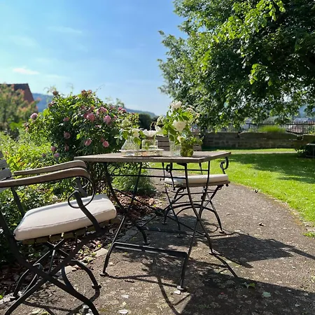 Storchennest - Scandi Style - In Der Historischen Hinterburg - Nahe Fulda Appartamento Schlitz