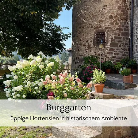 Lejlighed Storchennest - Scandi Style - In Der Historischen Hinterburg - Mit Aufzug, Parkplatz & Garten - Nahe Fulda Und Bad Hersfeld Schlitz