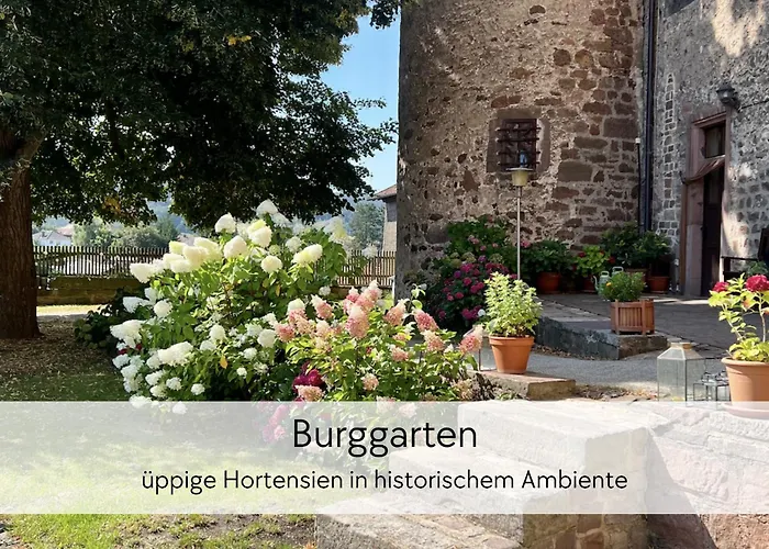 Apartment Storchennest - Scandi Style - In Der Historischen Hinterburg - Mit Aufzug, Parkplatz&garten - Nahe Fulda Und Bad Hersfeld Schlitz